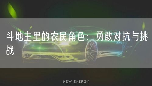 斗地主里的农民角色：勇敢对抗与挑战